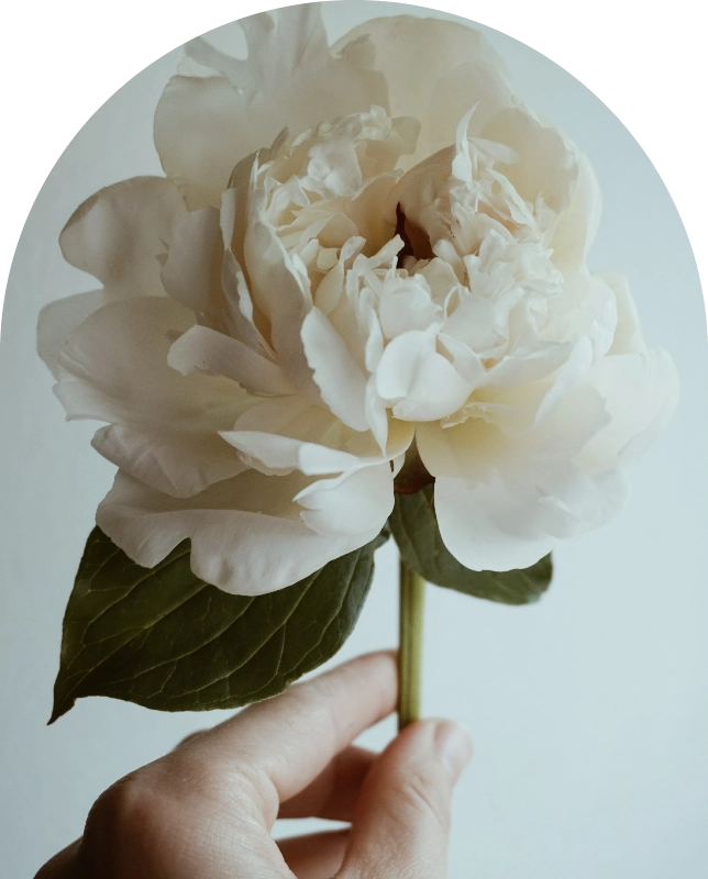 white rose - pcos naturopath